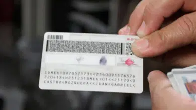 28 de febrero vence plazo para recoger credenciales de elector en Campeche