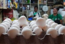 Alza en el precio del huevo en Campeche podría llegar hasta 80 pesos