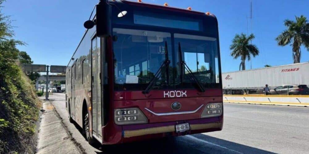 Analizan reactivación del transporte en Imí