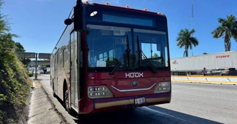 Analizan reactivación del transporte en Imí