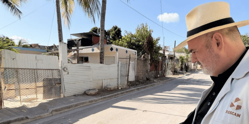 Autoridades van tras responsable de atropellar a felino en la colonia Minas (Foto: Fiscalía Especializada en Delitos contra Animales, Ambiente y Ecosistemas)