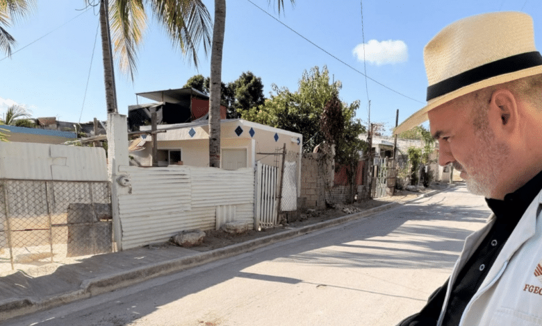 Autoridades van tras responsable de atropellar a felino en la colonia Minas (Foto: Fiscalía Especializada en Delitos contra Animales, Ambiente y Ecosistemas)