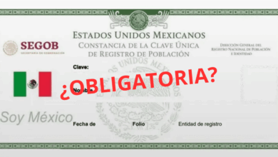 CURP biométrica ¿es obligatoria para migrantes en México Esto aclaran las autoridades