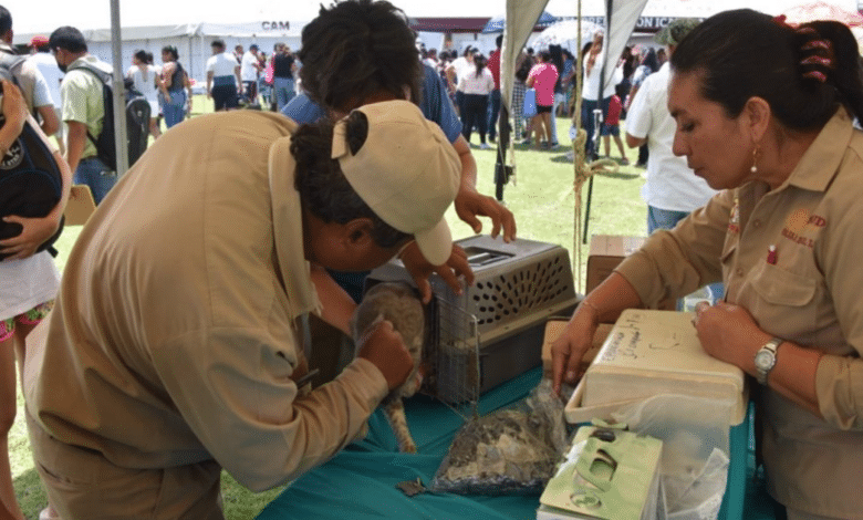 Campaña de vacunación antirrábica en Campeche