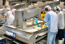 Campeche se suma a la reducción de la jornada laboral