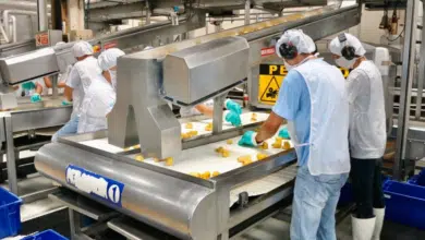 Campeche se suma a la reducción de la jornada laboral