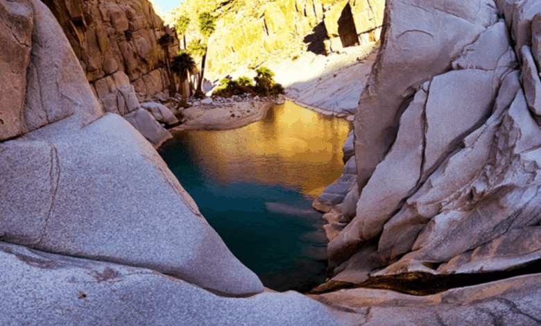 Cañón de Guadalupe un oasis de aguas termales en el corazón del desierto