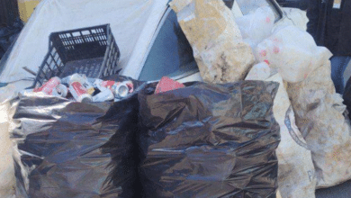 Carmen, Campeche genera 250 toneladas de basura cada día