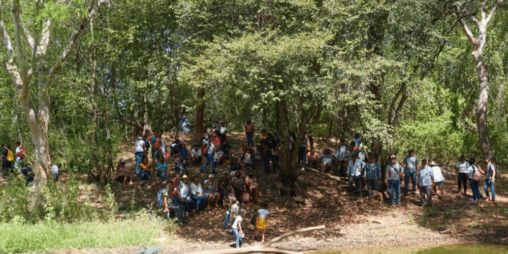 Comunidades mayas de Hopelchén denuncian grave crisis ambiental