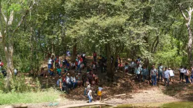 Comunidades mayas de Hopelchén denuncian grave crisis ambiental