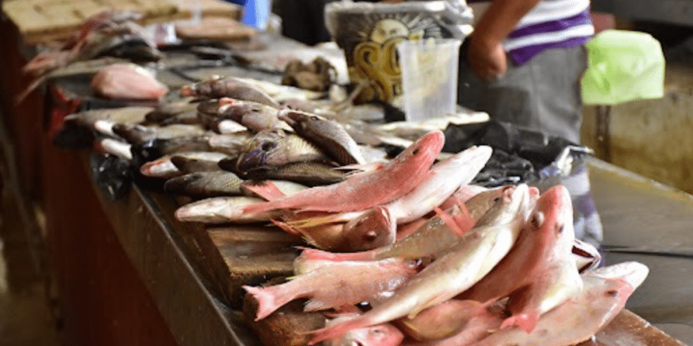 Cuaresma en Campeche claves para elegir pescado fresco