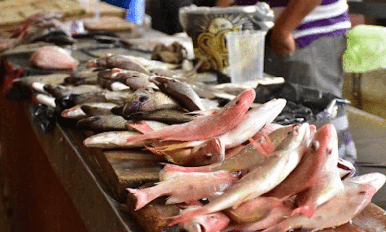 Cuaresma en Campeche claves para elegir pescado fresco