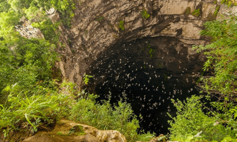 El Sótano de las Golondrinas, el abismo natural que asombra al mundo desde San Luis Potosí