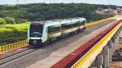 Expropian 44 hectáreas en Escárcega, Campeche, para el Tren Maya