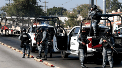 Golpe frontal a la delincuencia