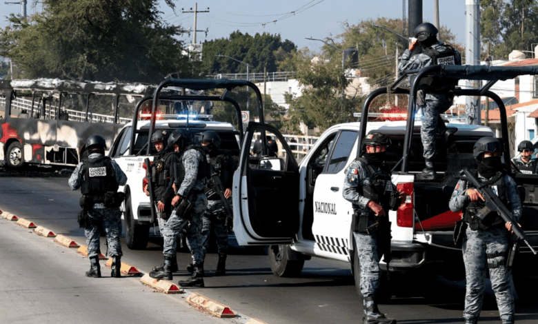 Golpe frontal a la delincuencia