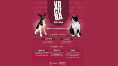 Horarios y ubicaciones Vacuna antirrábica gratis en Campeche este martes 3 de febrero de 2026