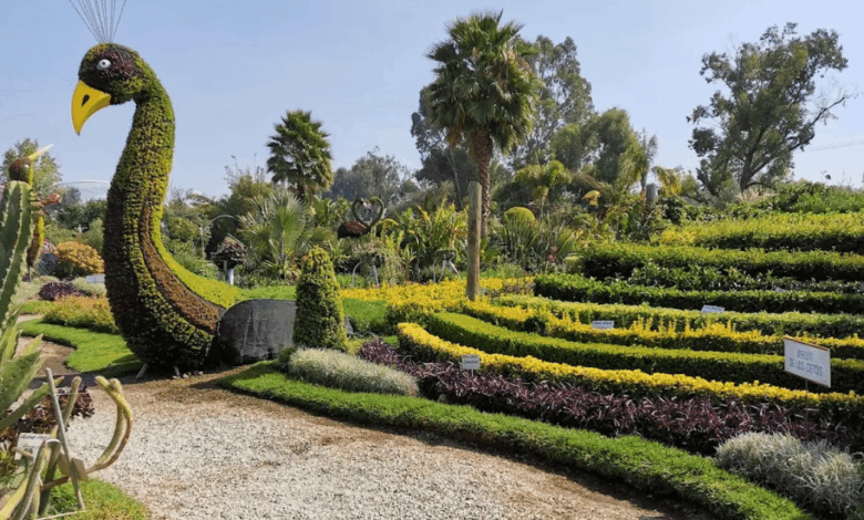 Jardín Mágico de Atlixco, un paraíso floral en el corazón de Puebla