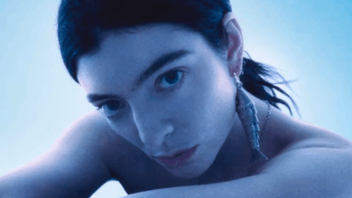 Lorde arremete contra el ICE y dona miles de dólares
