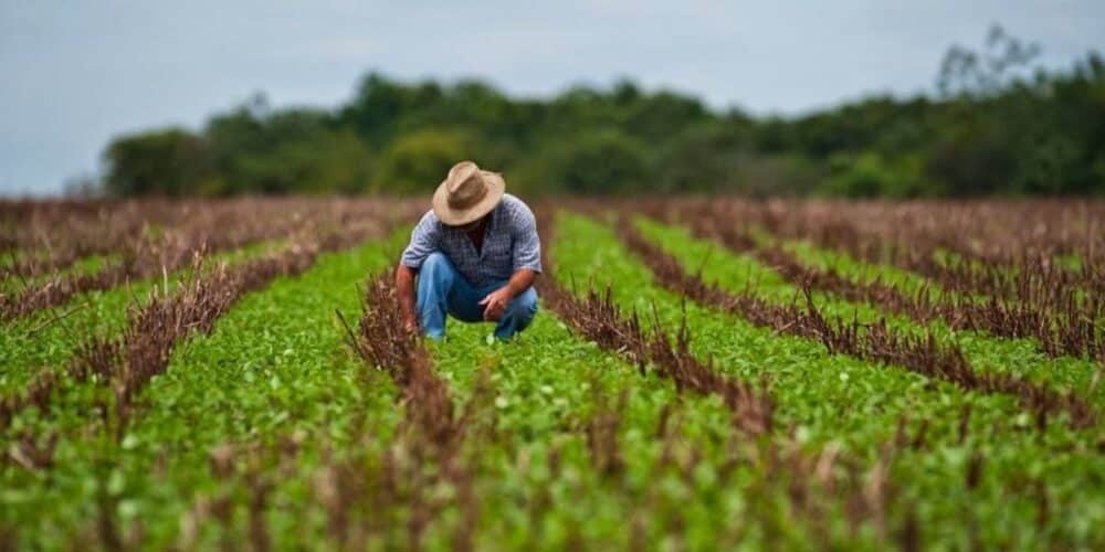 El campo: La ruta para reactivar la economía de Campeche. Foto: Gobierno de México.