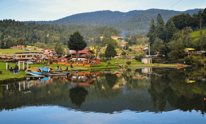 Ubicada entre la Ciudad de México y Toluca, La Marquesa se consolida como una de las opciones turísticas más accesibles para quienes buscan naturaleza, aventura y tradición culinaria en un solo lugar.