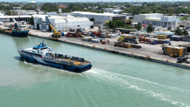 Puerto de Seybaplaya en Campeche lleva un 91% de avance