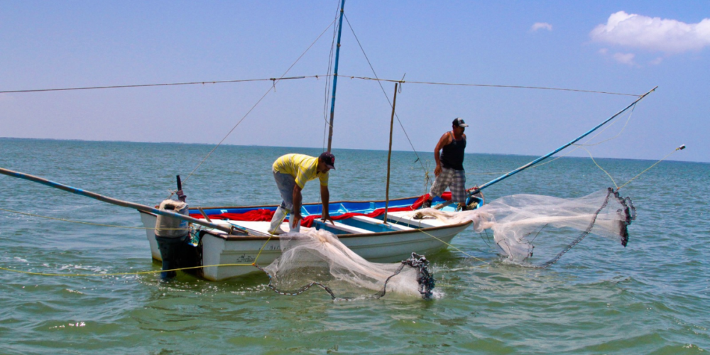 Se estabiliza la actividad pesquera en Campeche