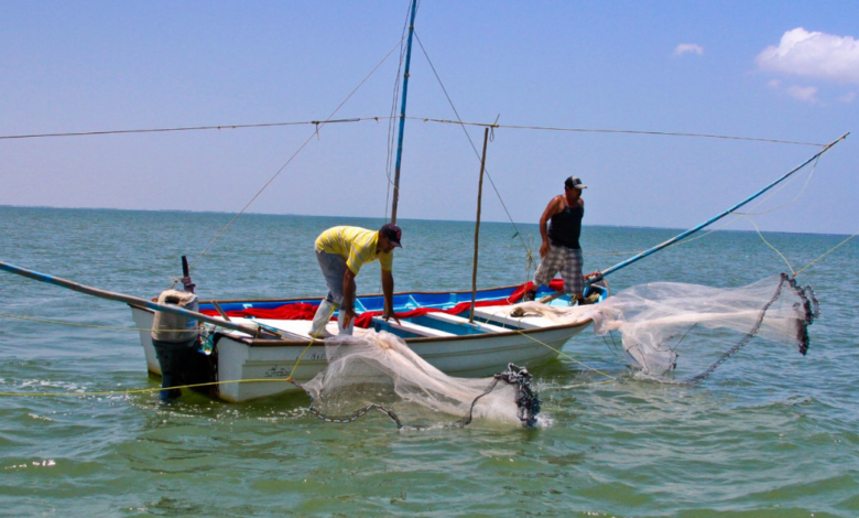 Se estabiliza la actividad pesquera en Campeche