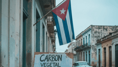 La escasez de combustible y los constantes cortes de electricidad en Cuba han llevado a miles de ciudadanos a buscar soluciones de emergencia para cocinar y transportarse, desde carbón vegetal hasta motocicletas eléctricas y sistemas solares domésticos.