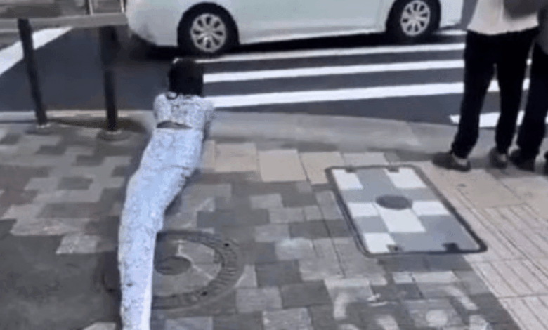 Therian serpiente causa polémica en Japón