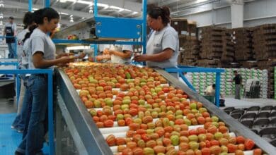 Campeche pierde más de 14 mil empleos, según Inegi