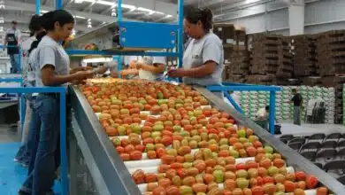 Campeche pierde más de 14 mil empleos, según Inegi