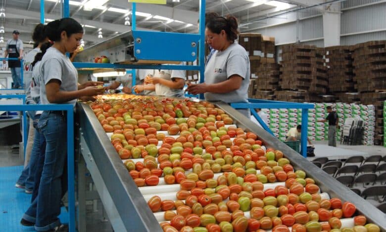 Campeche pierde más de 14 mil empleos, según Inegi