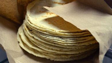 Impulsarán a productores campechanos de maíz con tortillerías sociales (Foto de internet)