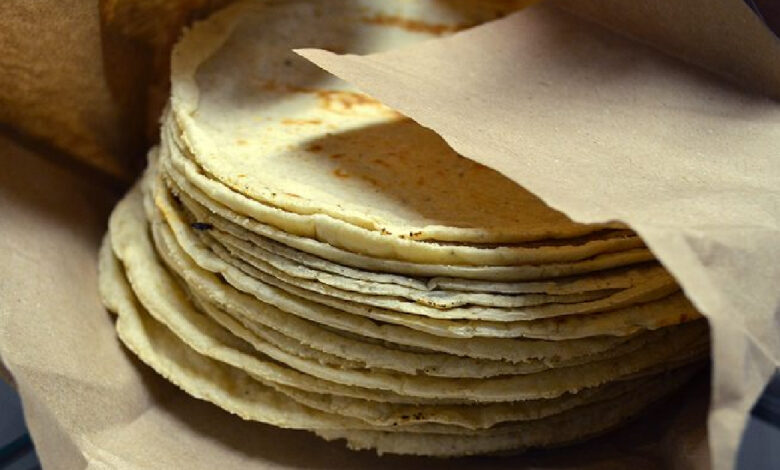 Impulsarán a productores campechanos de maíz con tortillerías sociales (Foto de internet)