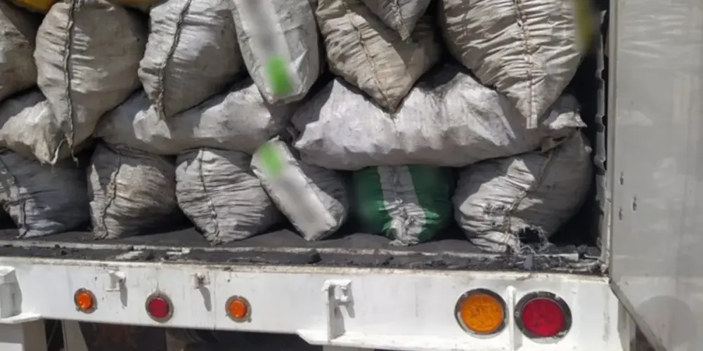 Aseguran cargamentos de madera y carbón ilegal en Escárcega