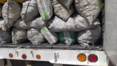 Aseguran cargamentos de madera y carbón ilegal en Escárcega