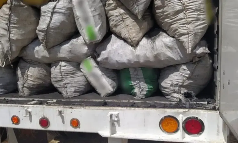 Aseguran cargamentos de madera y carbón ilegal en Escárcega