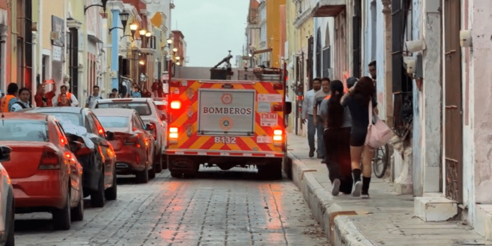 Ataque de abejas deja un hombre hospitalizado