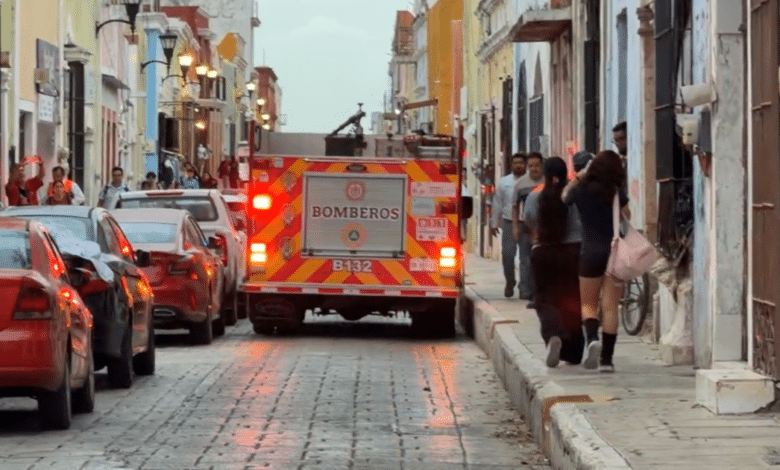 Ataque de abejas deja un hombre hospitalizado