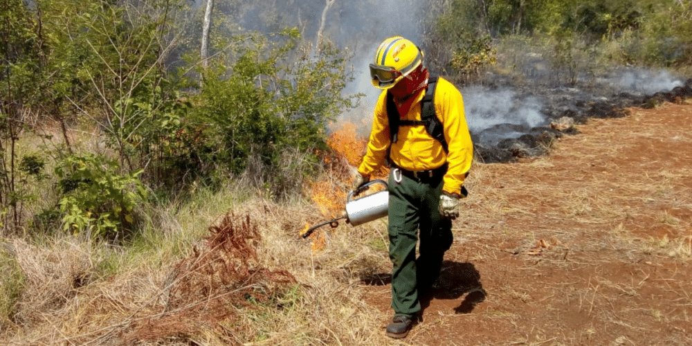 Campeche registra primeros incendios forestales de 2026