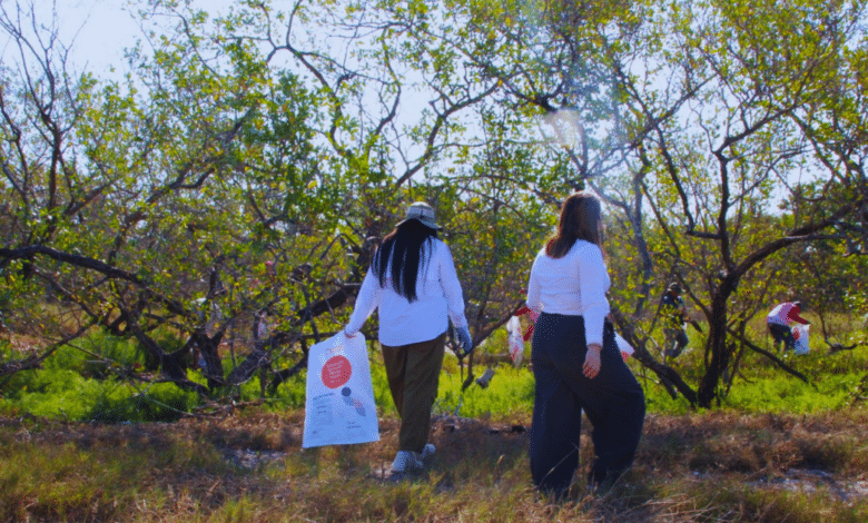 Campeche se une con Yucatán para limpiar Celestún