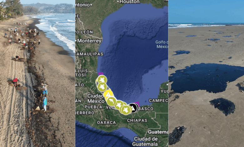 23 días del derrame en el Golfo de México, ya 630 km contaminados (Fotos de internet)