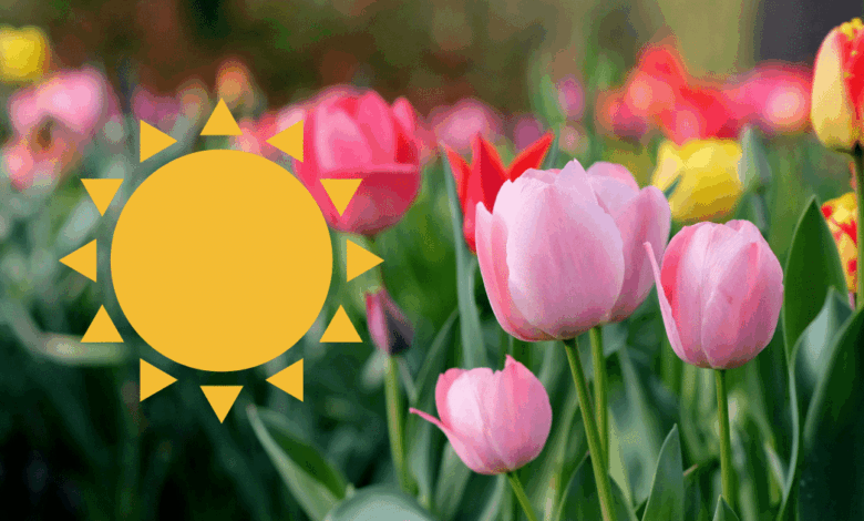 Equinoccio de primavera 2026 hora exacta y qué significa este fenómeno en México