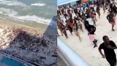 Estampida masiva en playa de Florida