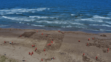 Gobierno de México refuerza acciones integrales ante presencia de hidrocarburos en costas del Golfo de México