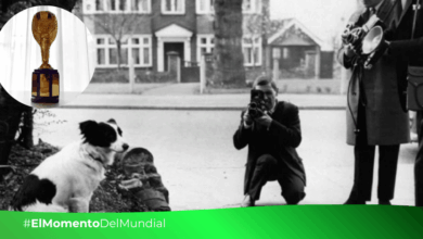 El sabueso que salvó el Mundial: El misterio del trofeo robado y el héroe "Pickles" (Fotos FIFA y redes sociales)