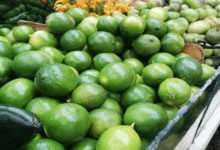 Precio del limón se dispara 300% en Ciudad del Carmen