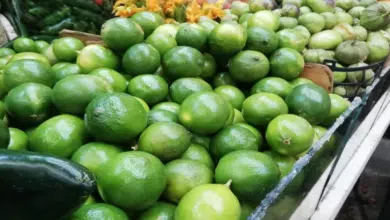 Precio del limón se dispara 300% en Ciudad del Carmen