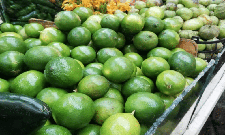 Precio del limón se dispara 300% en Ciudad del Carmen